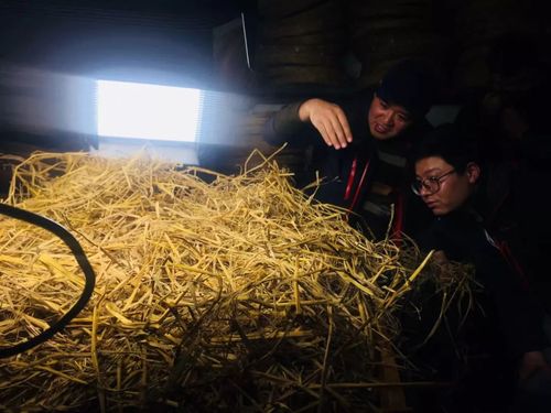 雪荞酒厂半年工作总结:砥砺前行,进一步提升产品质量